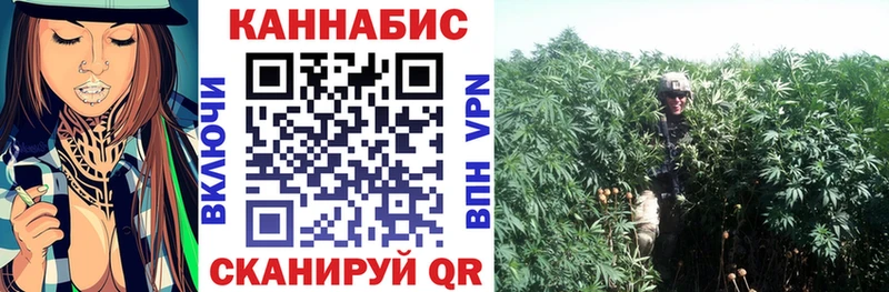 Виды наркоты Среднеуральск Кокаин Псилоцибиновые грибы ГАШИШ Меф мяу мяу АМФЕТАМИН