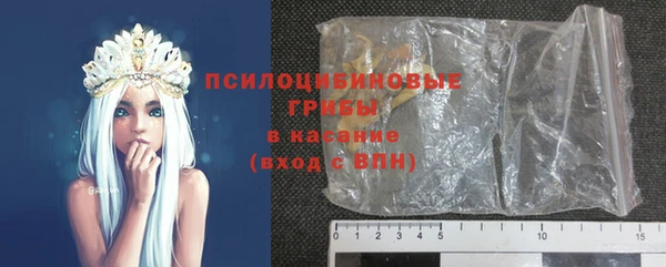 PSILOCYBIN Богданович