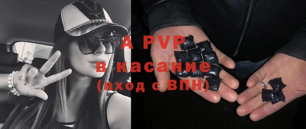 крисы Бородино