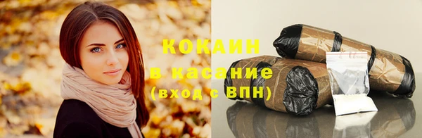 крисы Бородино