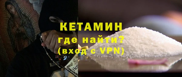 крисы Бородино