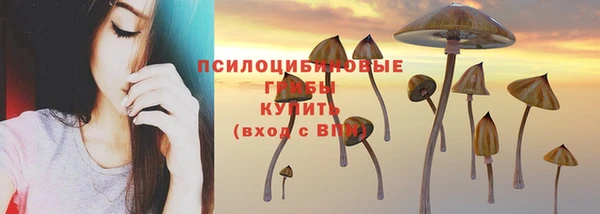 мет Бронницы
