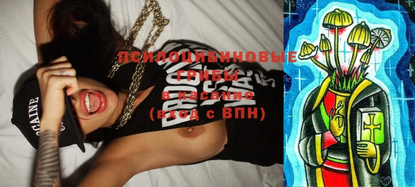 винт Богородицк
