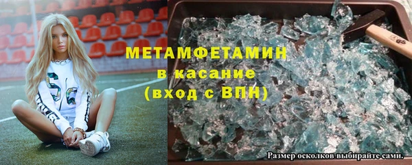 крисы Бородино