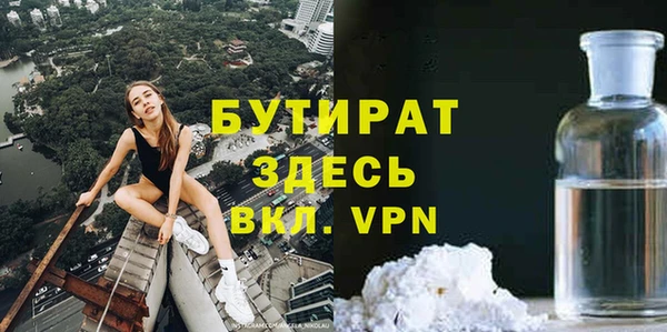 крисы Бородино