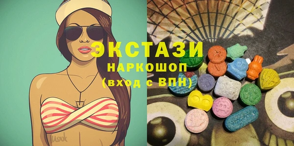крисы Бородино