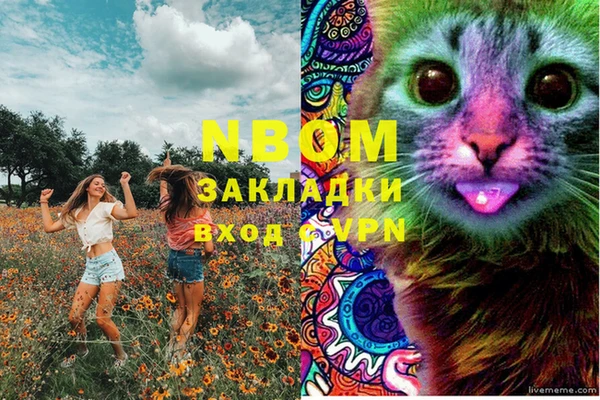 соль ск Богородск