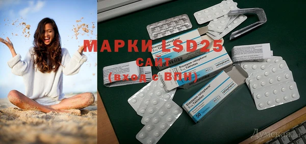 PSILOCYBIN Богданович