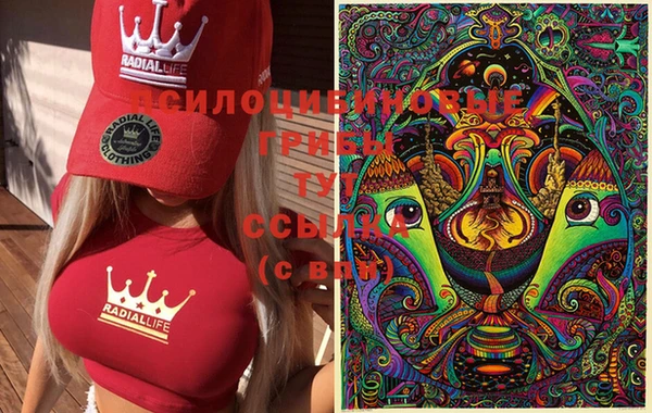 PSILOCYBIN Богданович