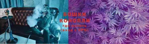 соль ск Богородск